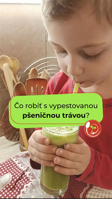 Infografika: Ako pripraviť chren s jablkami a uchovať ho v pohároch