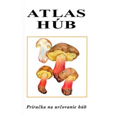 Infografika: Atlas jedlých húb - hlavné druhy, rast a časy výskytu