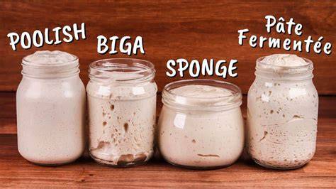 Preferment a pate fermentée v pečení