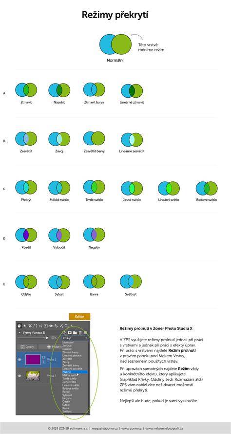 Infografika: Režimy hry Chicken Gun a ich rozdiely