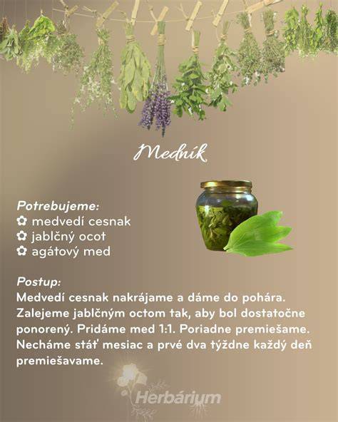 Infografika: Postup vareného receptu s octom