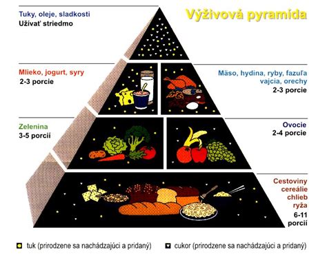 Výživová pyramída s dôrazom na mliečne výrobky