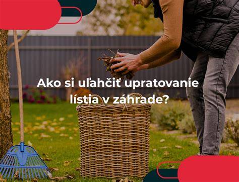 Infografika: Ako si v tvare a varení špecle uľahčiť