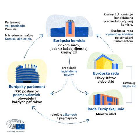 Infografika: Základné zložky kapustnice a ich vzájomné vzťahy