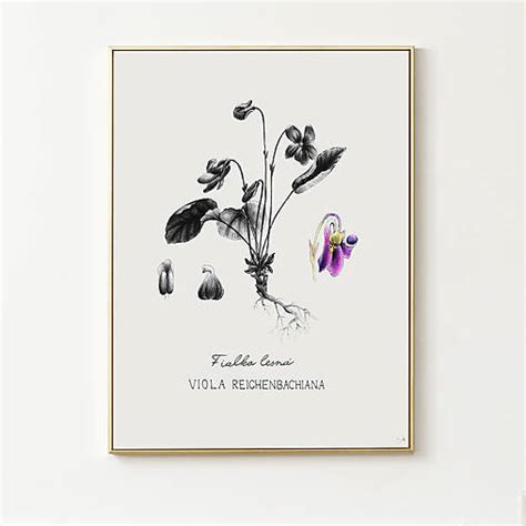 Ilustrácia pleteného kvetinového koláča