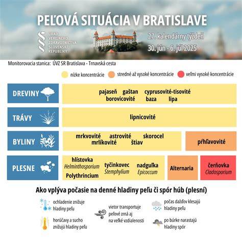 Infografika: Symbolika krídel a ich významov v rôznych kultúrach