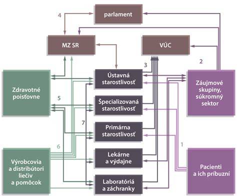 Schéma vzťahov medzi vysokou školou, vedúcim učiteľom praxe a organizáciou praxe