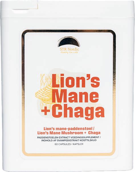 Ilustrácia hríbov Chaga a Lion's Mane