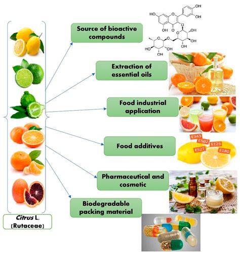 images/citrus_infographic.png