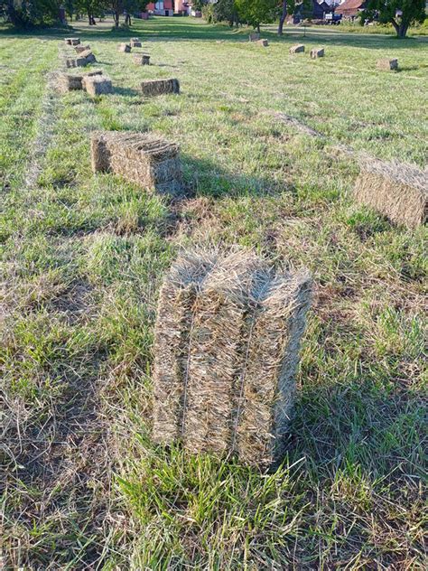 Obrázok: Slama v malých balíkoch a dekoratívne aranžovanie