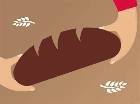 Infografika: Trajektória rastu PENAM Slovakia a jej kľúčových akvizícií na Slovensku