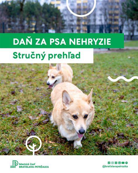 Infografika: Stručný prehľad deja a postáv v Pirátoch peciválových
