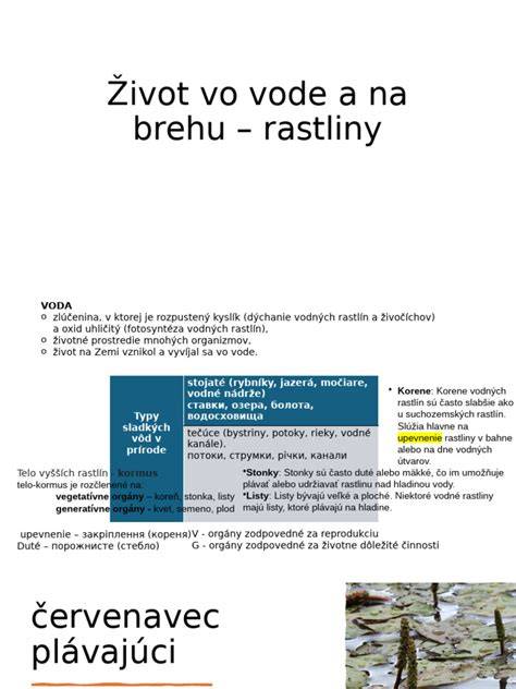 Infografika: postup pečenia pečeňového syrа vo vode vo vode v rúre