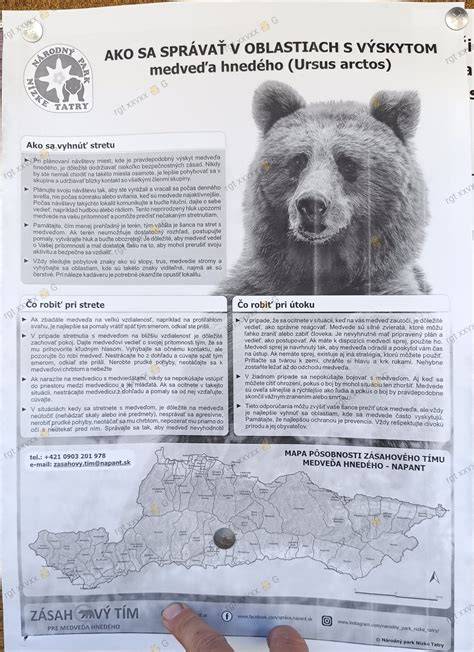 Mapa bezpečnostných zásad pri grilovaní