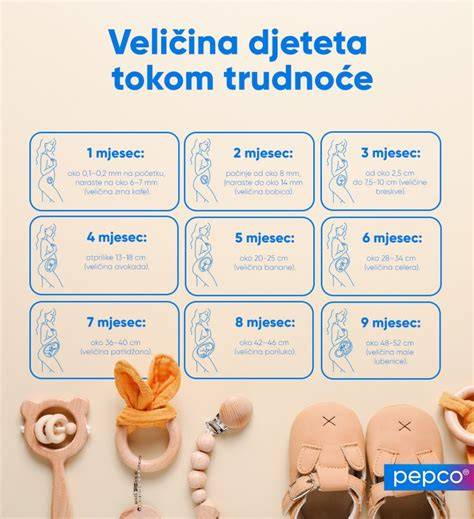 Infografika: SAG, GI a zloženie BEBE