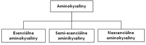 Rozdelenie aminokyselín