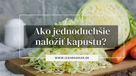 Illustrative infographic: Rozloženie a využitie kameninových súdkov na kapustu