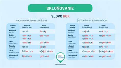 Infografika: Prehľad skloňovania nesklonných slov v slovenčine