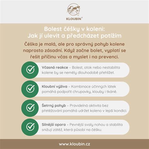 Infografika: kroky prípravy bavorského kolena