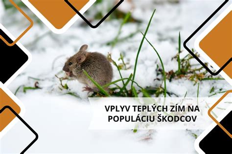 Infografika: Vzťahy susedných plodín a ich vplyv na pôdu a škodcov