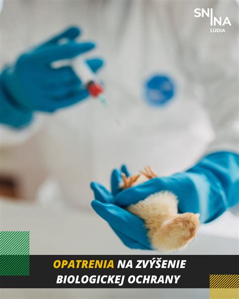Infografika: cyklus šírenia patogénov a ochranné opatrenia