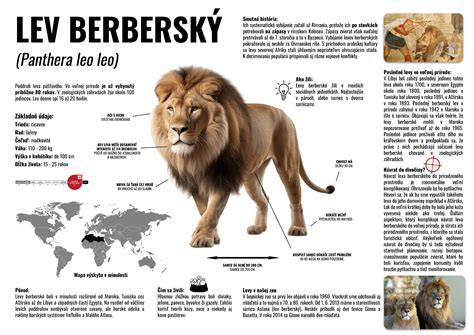 Infografika: Lev ako symbol odvahy a kráľovskej dôstojnosti