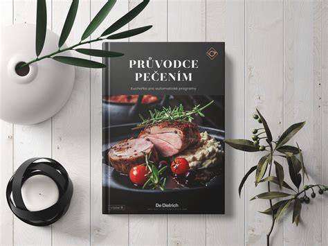 Infografika: Sprievodca pomalým pečením husi - teploty a časy