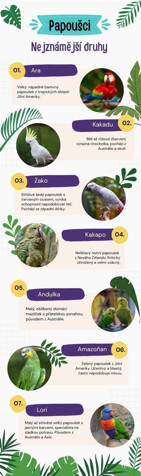 Infografika: základné druhy zaváraných paprík a ich variácie