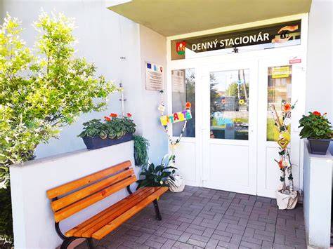 Grafika: Denný stacionár ako ambulantná služba