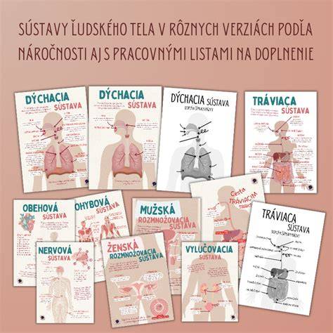 Infografika znázorňujúca hlavné systémy kuraťa: tráviaca, dýchacia, obehová, nervová, vylučovacia