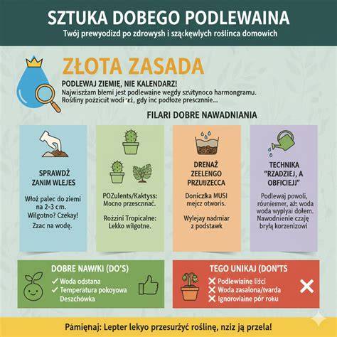 Infografika: Banana Sweet - charakteristika odrody a využitie plodov