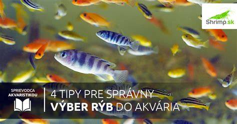 Infografika: Správny výber konzervovaných rýb podľa typu a oleja