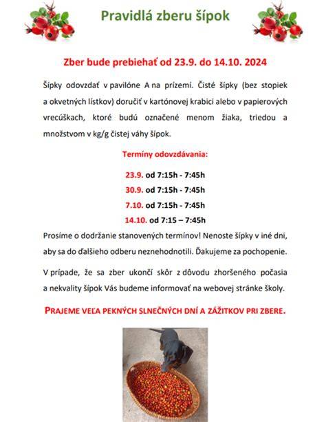 Infografika: Zber šípok a postup macerácie