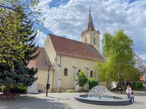 Grafické znázornenie štruktúry denného menu a rozvozu v Dunajskej Strede
