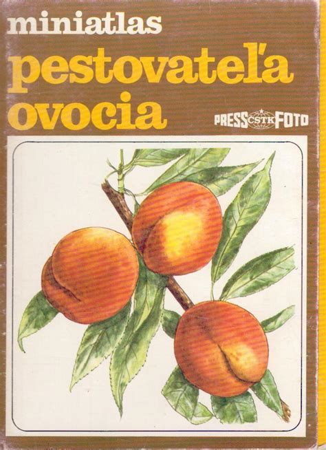 Ilustrácia manga ovocia