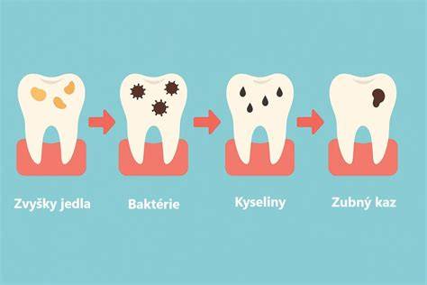 Infografika: Ako vzniká kvások a ako vyzerá rozdiel medzi kysnutým a nekysnutým posúchom