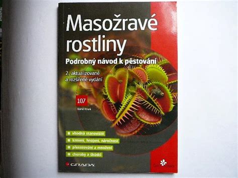 Podrobný návod na výsadbu zlatovky prostrednej