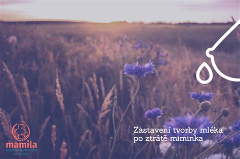 Stimulácia tvorby mlieka dotykom