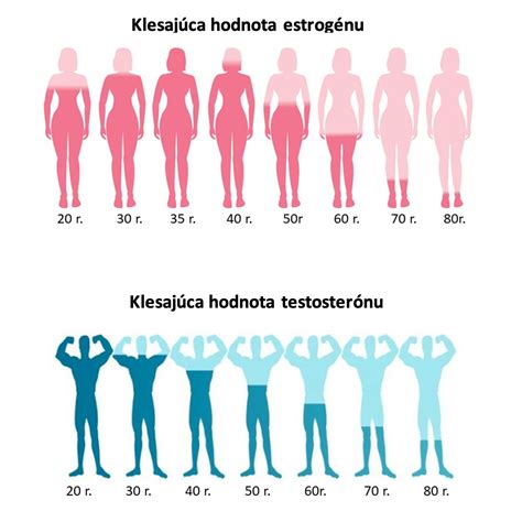 Ilustrácia hormonálnej regulácie tvorby mlieka