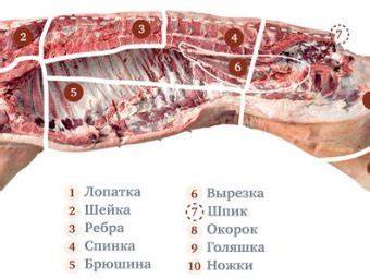 Infografika: Výber najlepších častí jelenieho mäsa na rôzne úpravy