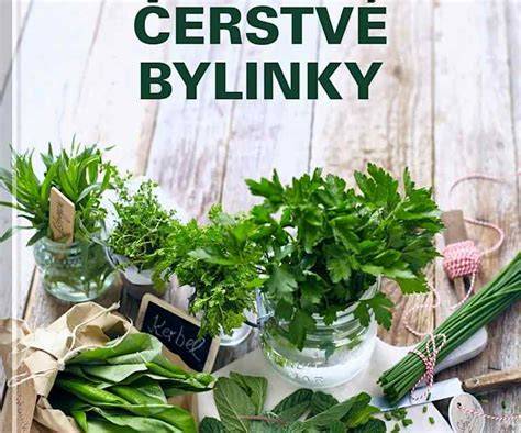 Ilustrácia: Čerstvé bylinky vhodné na nakladanie