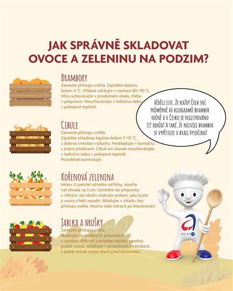 Infografika: Postup pečení zeleniny a vaření bulguru