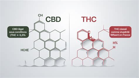 Schéma porovnávajúca obsah THC a CBD v technickom konope a marihuane