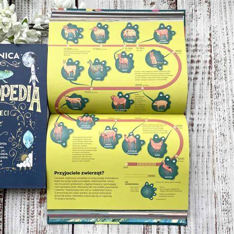 Infografika: postupu prípravy KOKA sušienok