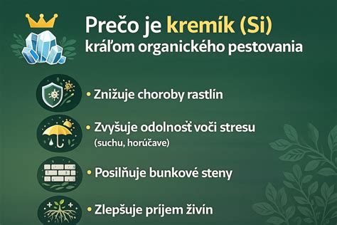 Infografika: Stratégie rastlín voči suchu