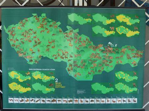 Mapa rozšírenia skočiek a najrizikovejšie plodiny
