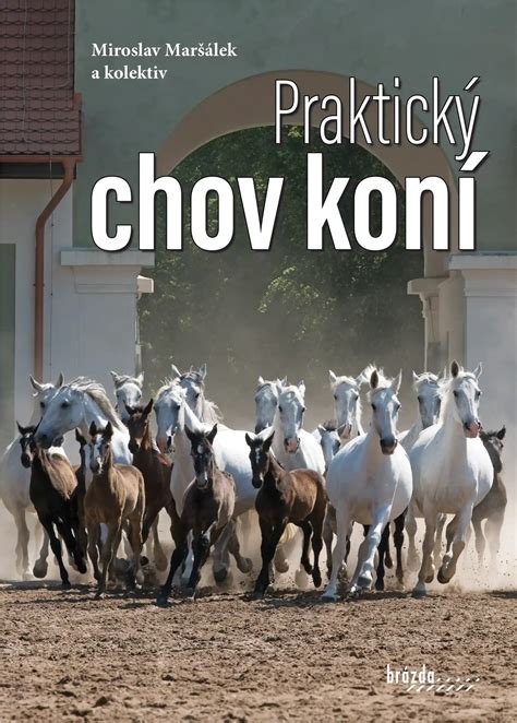 Ilustrácia areálu pre chov koní a spracovanie