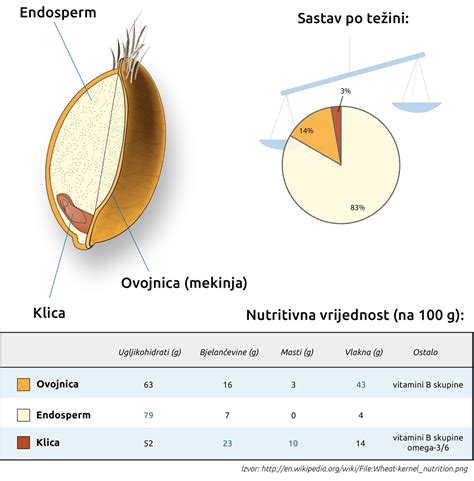 Zloženie kukuričného zrna