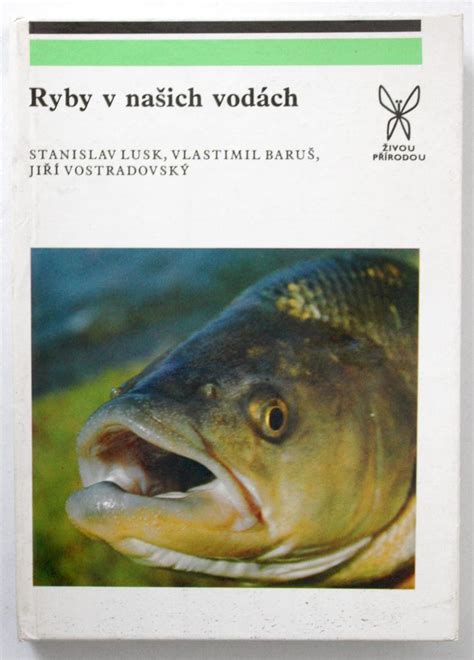 Ryby plávajúce v čistých vodách