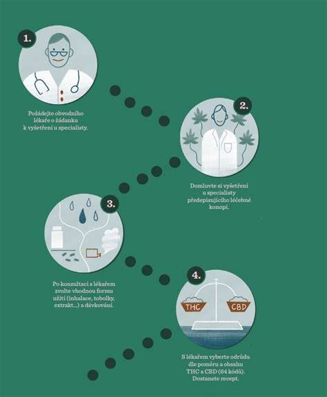 Infografika: kroky prípravy kvásku a cesta
